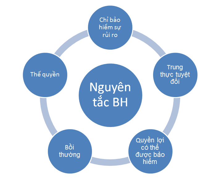 Bảo Hiểm Hàng Hóa Xuất Nhập Khẩu